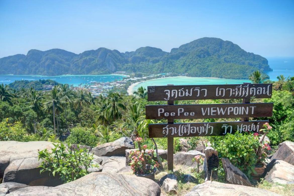 It is not the mountain we conquer but ourselves