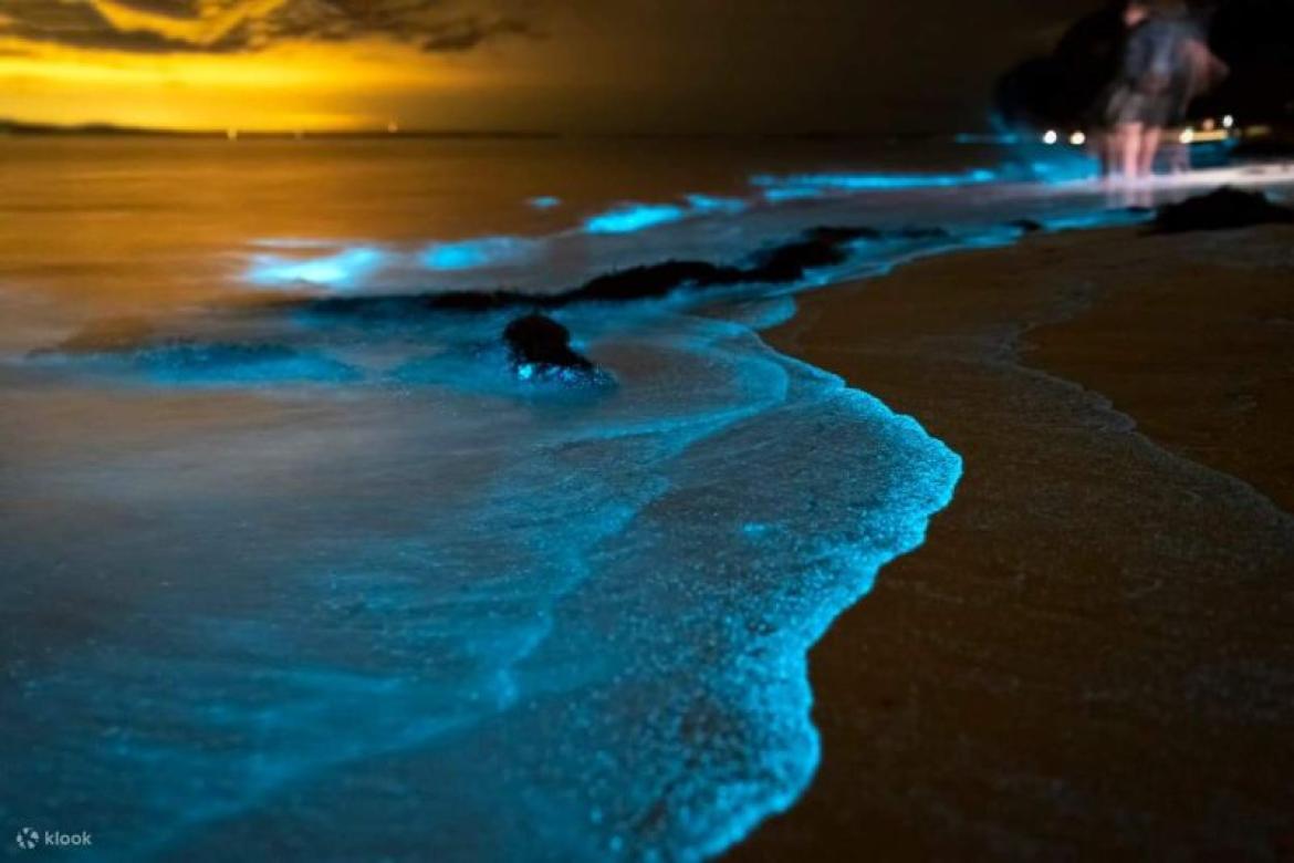 It is not the mountain we conquer but ourselves