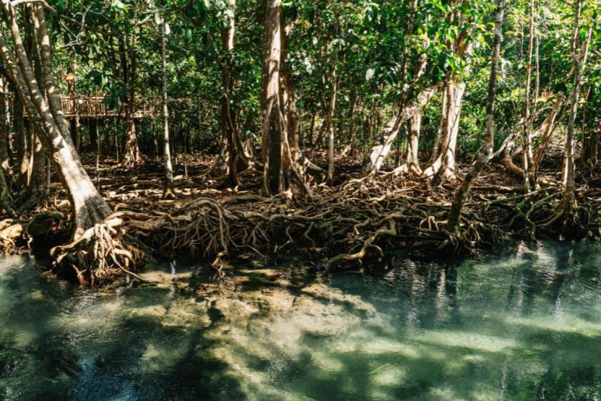 It is not the mountain we conquer but ourselves